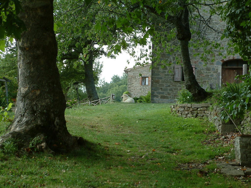 Vila Casina Della Burraia Subbiano Exteriér fotografie