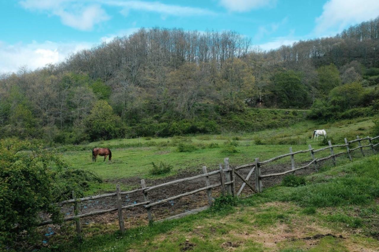 Vila Casina Della Burraia Subbiano Exteriér fotografie
