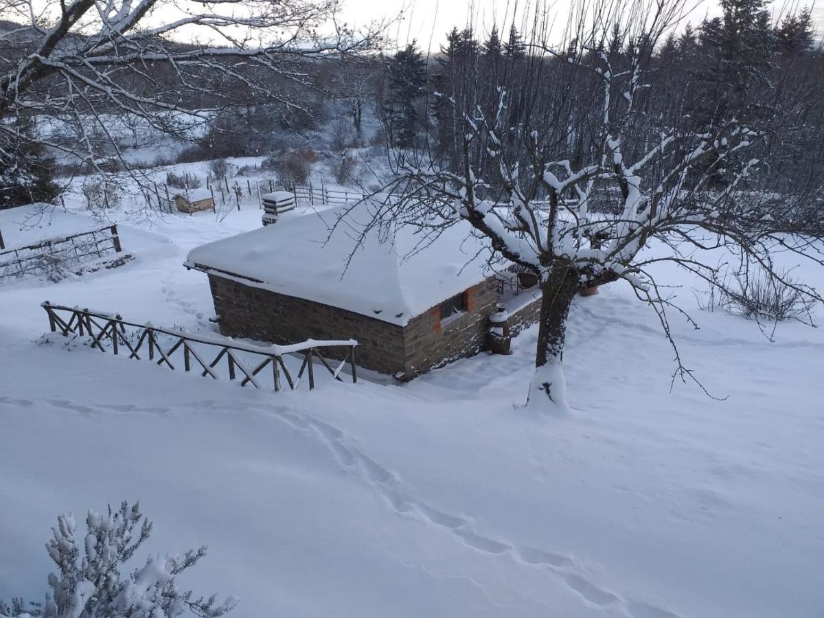 Vila Casina Della Burraia Subbiano Exteriér fotografie